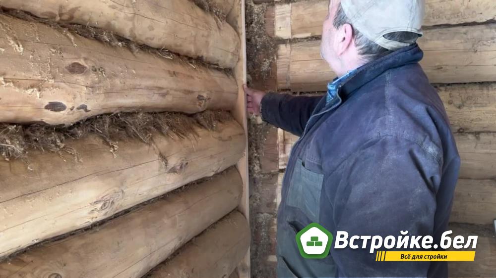 frame_480.jpg?lang=ru